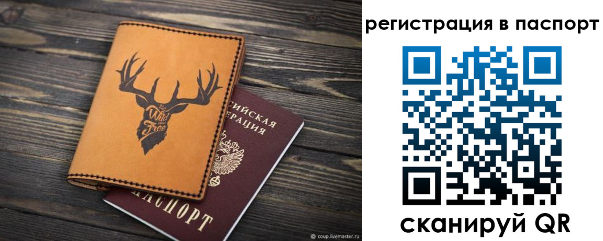 прописка паспорт в Советской Гавани